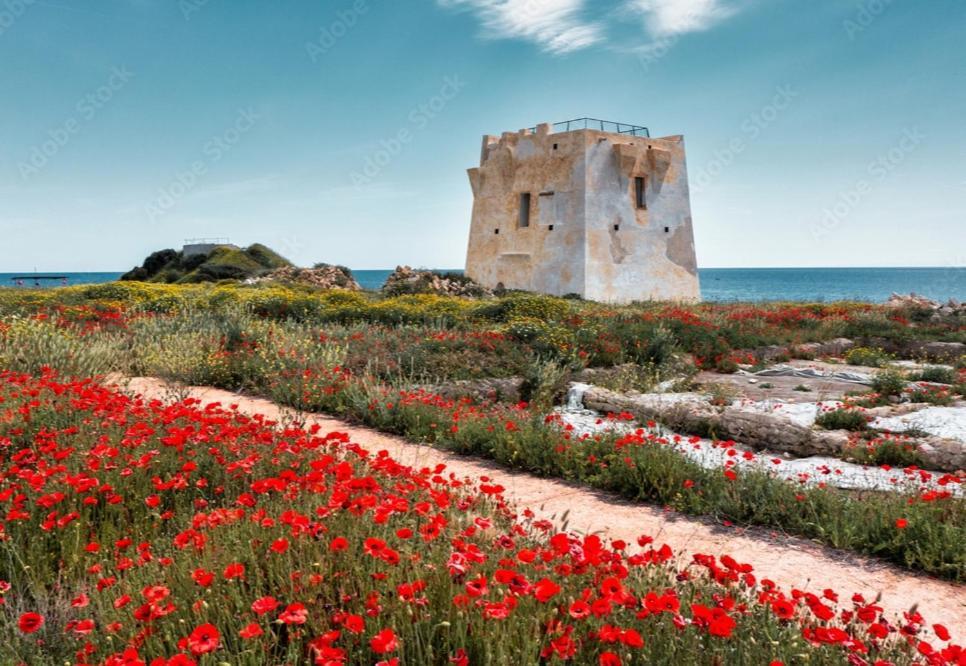 레포라노 Alice In Puglia 빌라 외부 사진